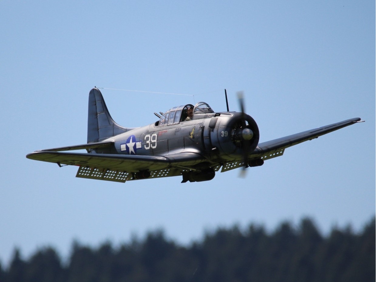 SBD Dauntless, 100ccm, Spw 2540mm, ARF-Modell von CYModel – Bild 3