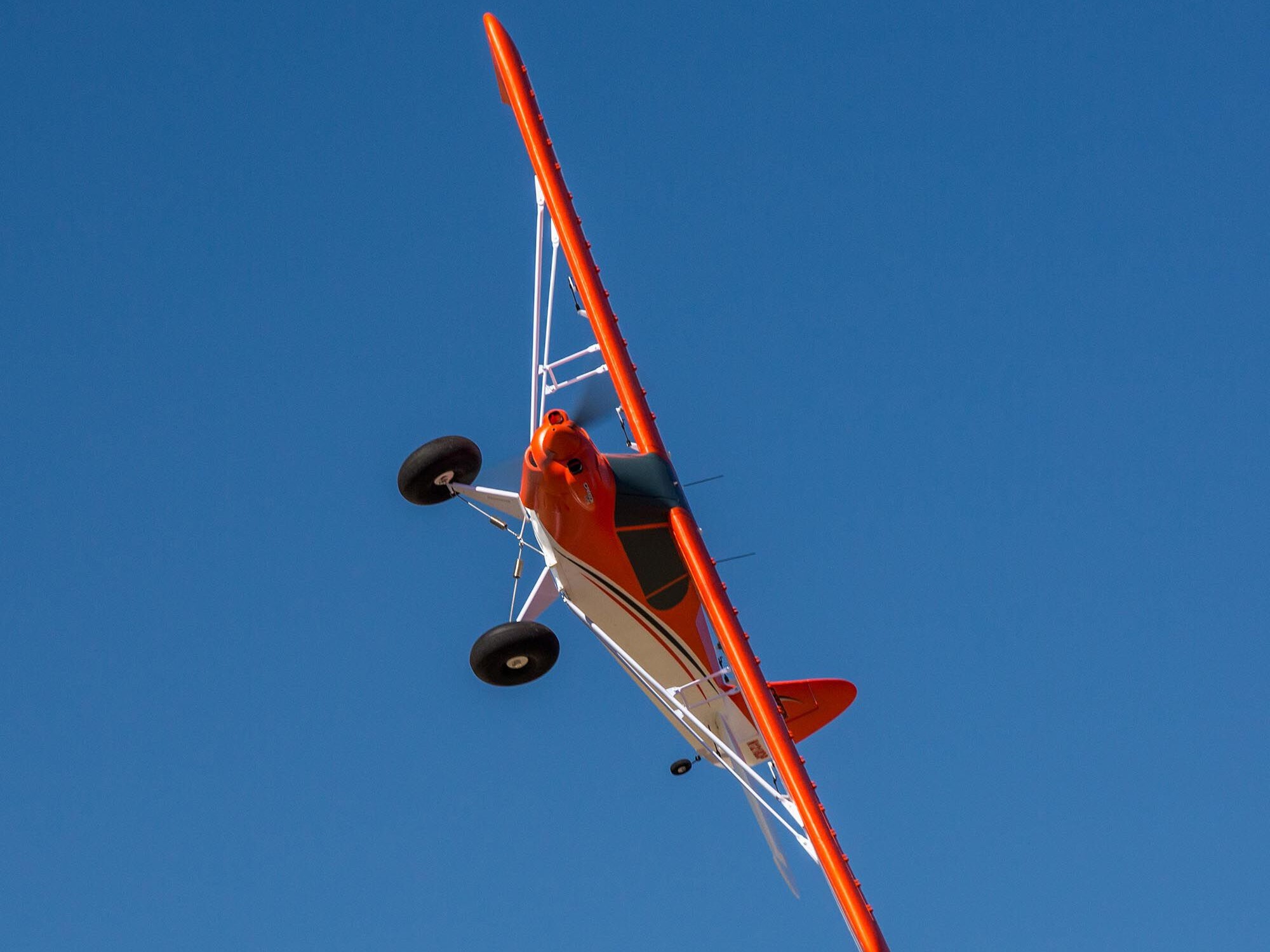E-flite Carbon-Z Cub SS 2.1m, Spw 2149mm, BNF-Set mit AS3X und SAFE Select - EFL124500 – Bild 5