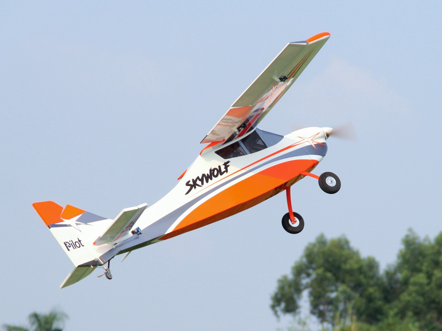 Skywolf V2 - 67, 20ccm, Spw 1711mm, ARF-Modell von PILOT-RC – Bild 5