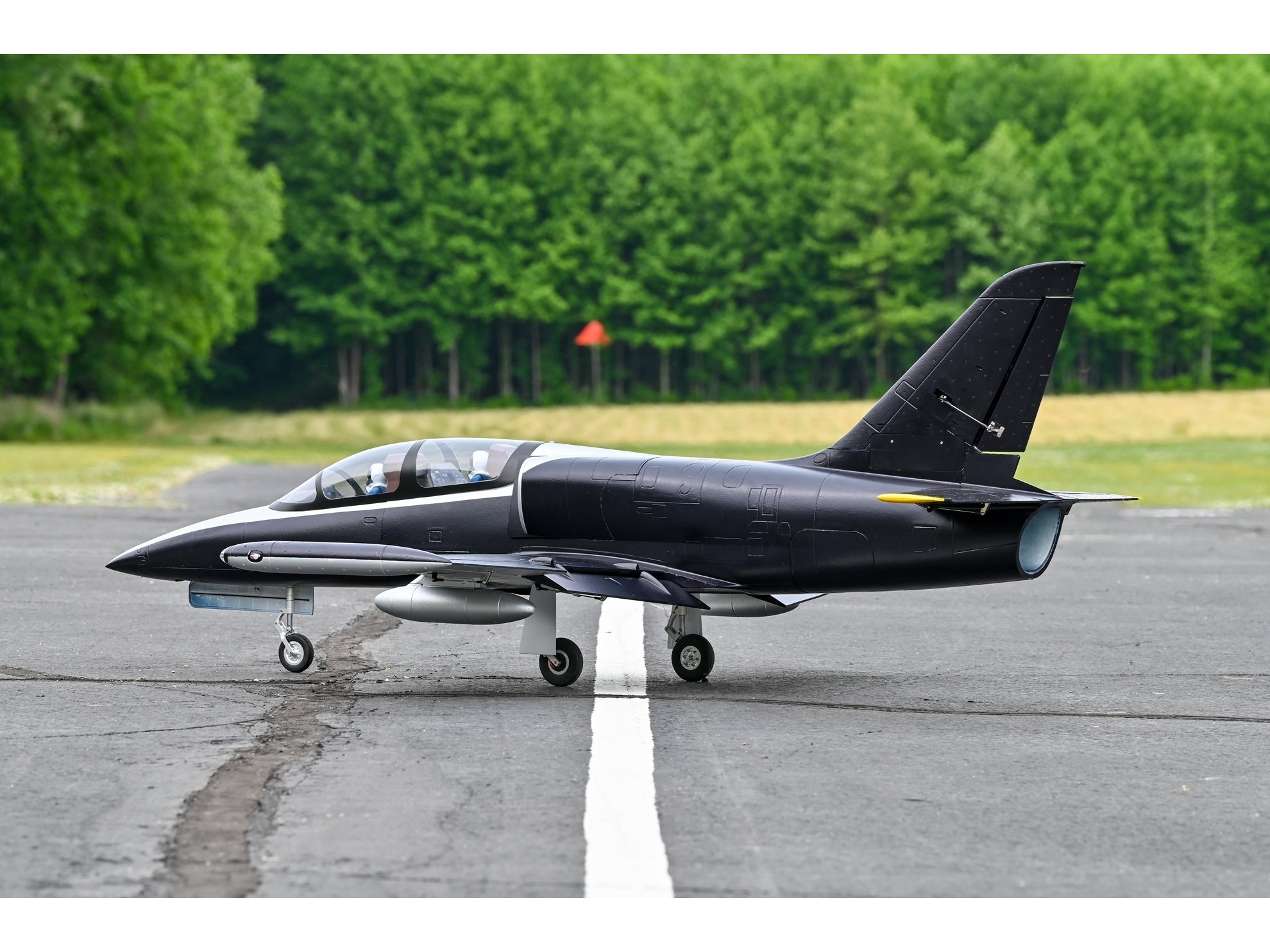 HL-39 Albatros, 120mm S-EDF Jet, Spw 1665mm, 12S - PNP-Set, HSDJets – Bild 4