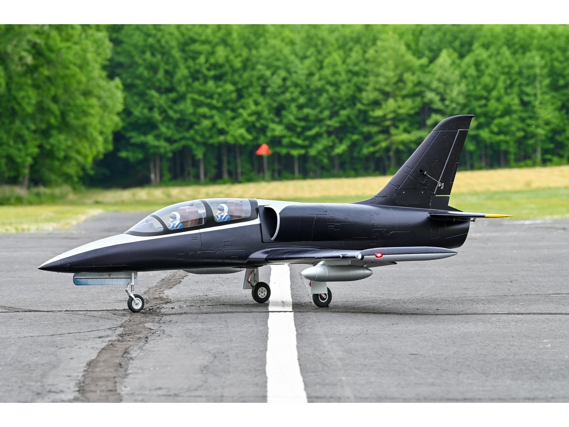 HL-39 Albatros, 120mm S-EDF Jet, Spw 1665mm, 12S - PNP-Set, HSDJets – Bild 5