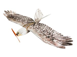 Motorsegler RC Mini Eagle/Adler EPP, Spw 1200mm, PNP-Set, DW-Hobby