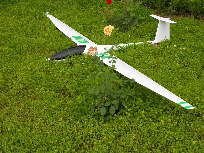 Voll CFK Segler DG600 - Spw 3404mm von RCRCM – Bild 2