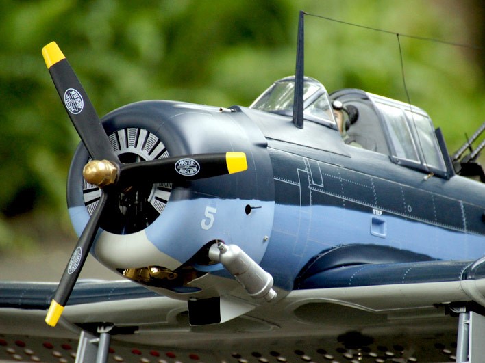Douglas SBD Dauntless, Spw 1540mm, ARF-Set von VQ-Models – Bild 5