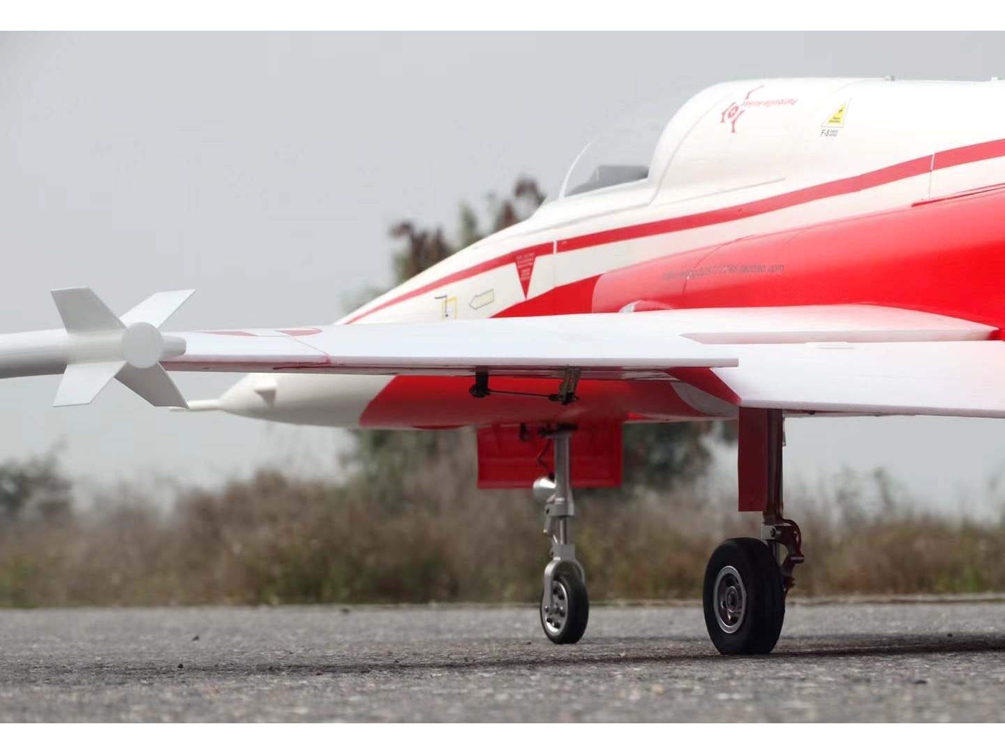 F-5E Tiger - Swiss, 2.2m, Spw 1400mm, ARF-Version mit Einziehfahrwerk – Bild 2