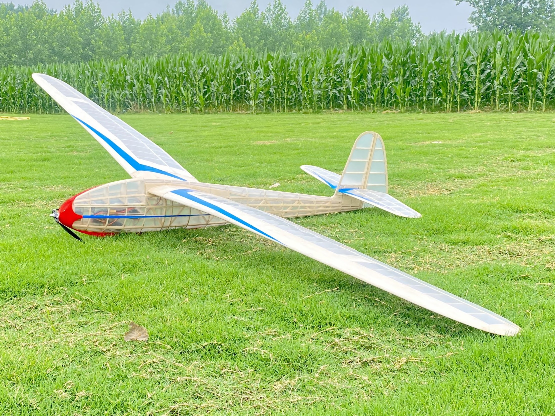 Valueplanes Lippisch G108 - Spw 2750mm - KIT-Bausatz aus Balsaholz – Bild 3
