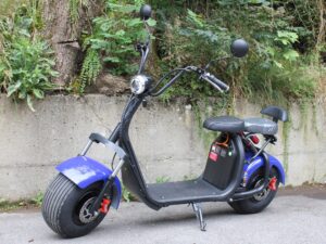 Citycoco Elektro Trotti FAT-BOY 500 Watt - 25km/h - blau 2-Plätzer