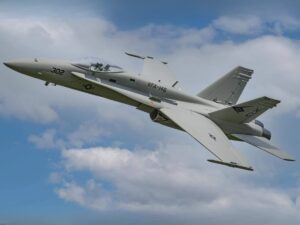 F/A-18C Hornet Gray Diamonds V2, Impeller-Jet, 1034mm, ARF Plus, Freewing