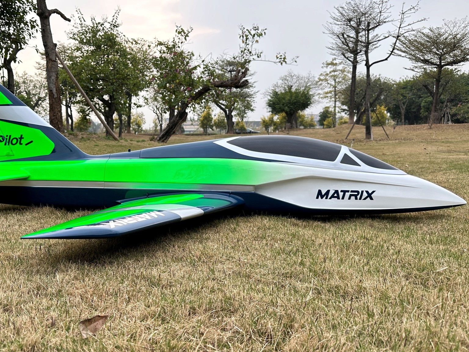 Matrix 1.8m - 73 Zoll - 3D Jet -Spw 1740mm, EZFW, Pilot-RC – Bild 5