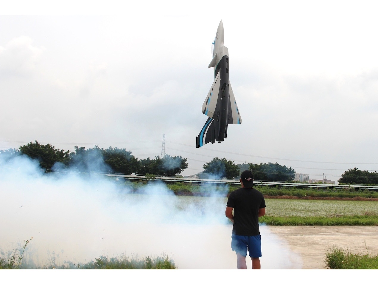 Chengdu J-10-B - 3D-Turbinen Jet, Spw 1677mm, ARF-Set mit EZFW, Pilot-RC – Bild 6