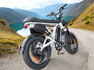 Elektrobike Fatbike Elektrovelo T20-D - Fahrrad 500 Watt - 25 km/h