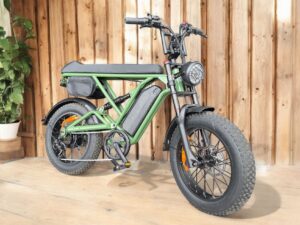 Betriebsbereit Elektrobike Fatbike Elektrovelo T20-D - Fahrrad 500 Watt - 25 km/h