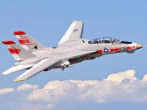 F-14 Tomcat V2 - Twin 64mm EDF Jet, Spw 1250mm, PNP-Set, Freewing
