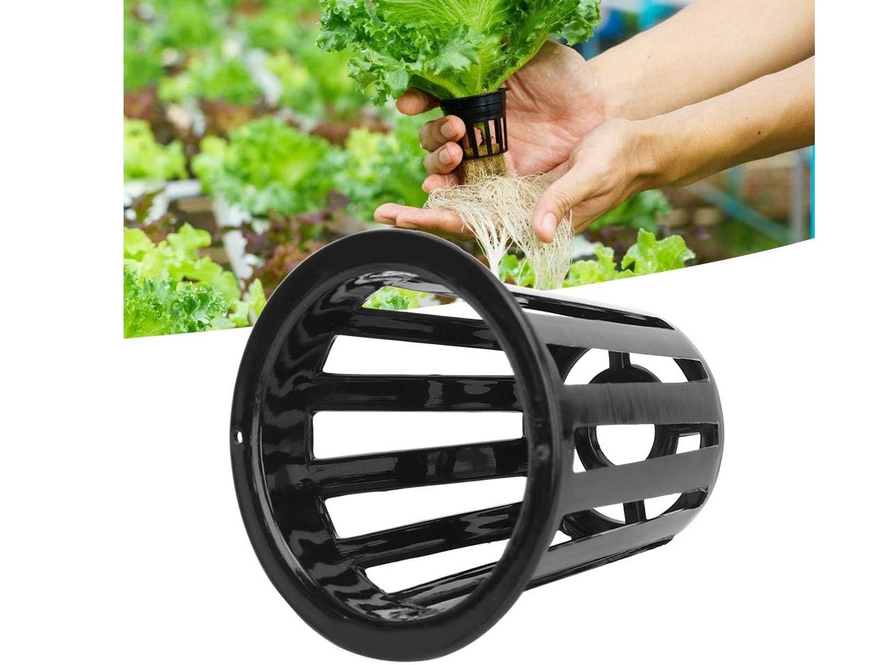 Hydroponik Netztopf zu Pineapple Turm - 50er Set – Bild 3